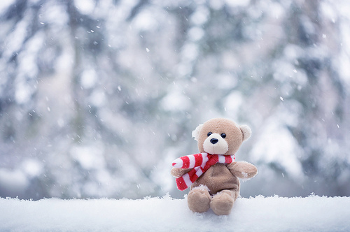 bokeh, cachecol, cold, cute, inverno, invierno