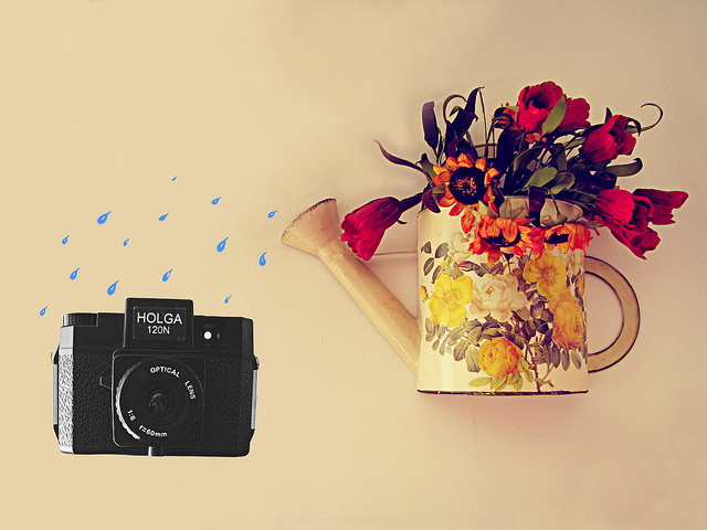 camera, cute and floral