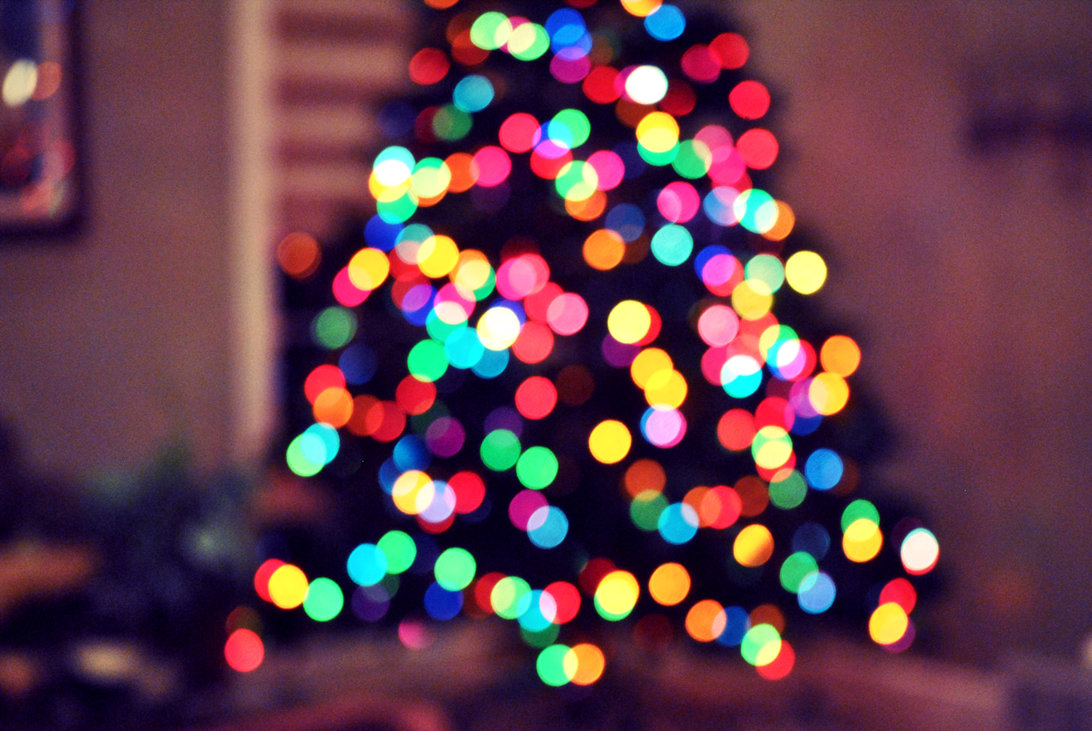 bokeh, christmas and christmas tree