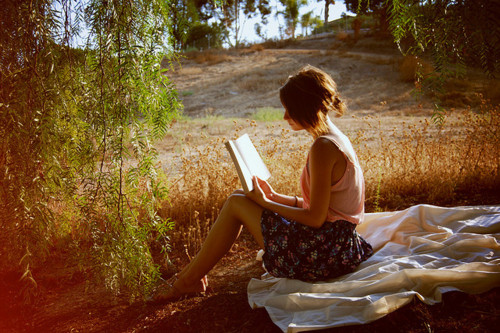 book, books, field, girl, light, low sun