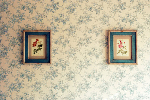 floral, flowers and frames