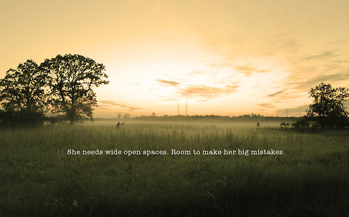 meadow,  photography and  quote