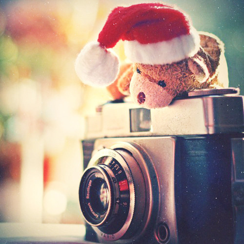 bear, camera and christmas