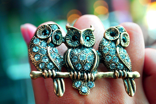 cute, fashion, hand, owl, photography