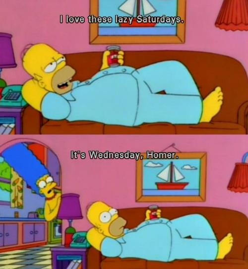 funny, homer and lazy