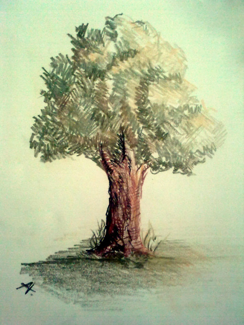 art-drawing-green-sketch-tree-Favim.com-