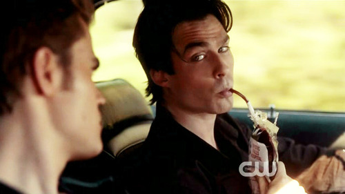 blood,  damon and  drink
