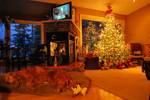 christmas, christmas tree and cozy