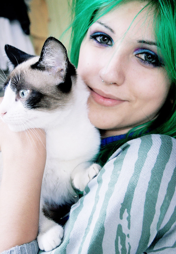 cat, colorful makeup and green hair