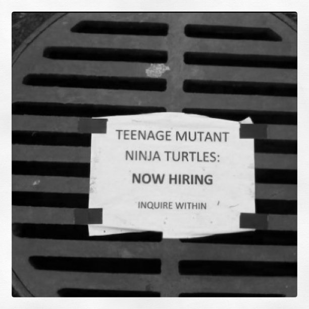 hiring, mutant and ninja