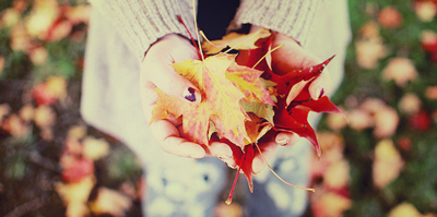 autumn,  fall and  hands
