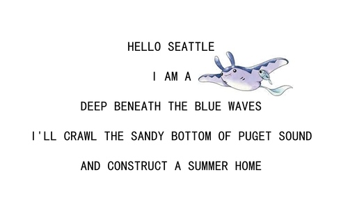 crawl,  hello seattle and  home