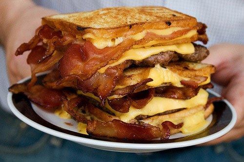 bacon, cheese and food