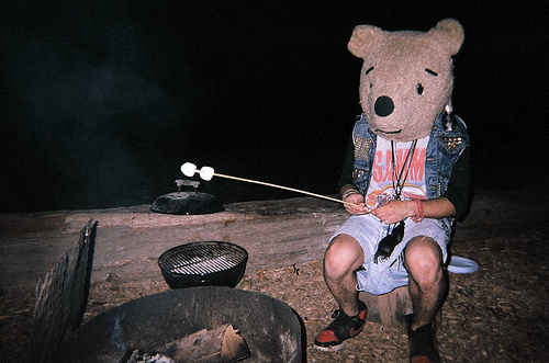 bbq, bear and campfire
