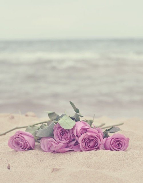 beach, flowers and pink