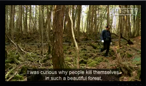 beautiful,  forest and  kill