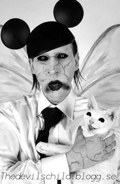 black and white, cat and marilyn manson