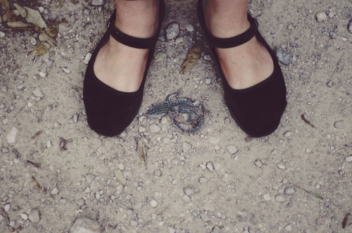 black, fashion and flat shoes