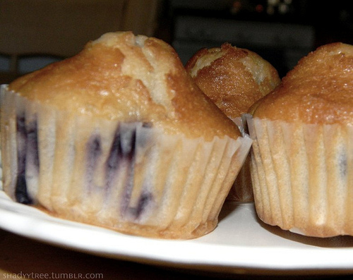 blueberry, blueberry muffin and breakfast