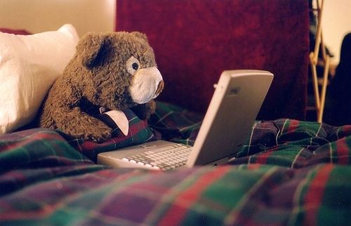 alone, bear and computer