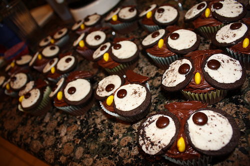 animal, animal cupckaes, cupcakes, cute, food, owl