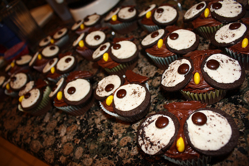 animal, animal cupckaes and cupcakes