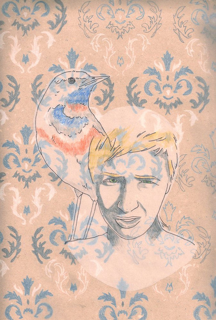 bird, estonia and illustration