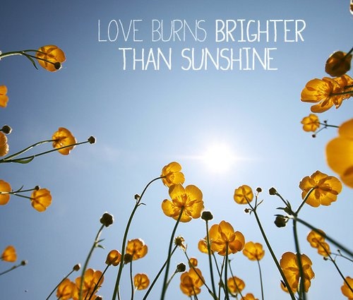 brighter, flower and love