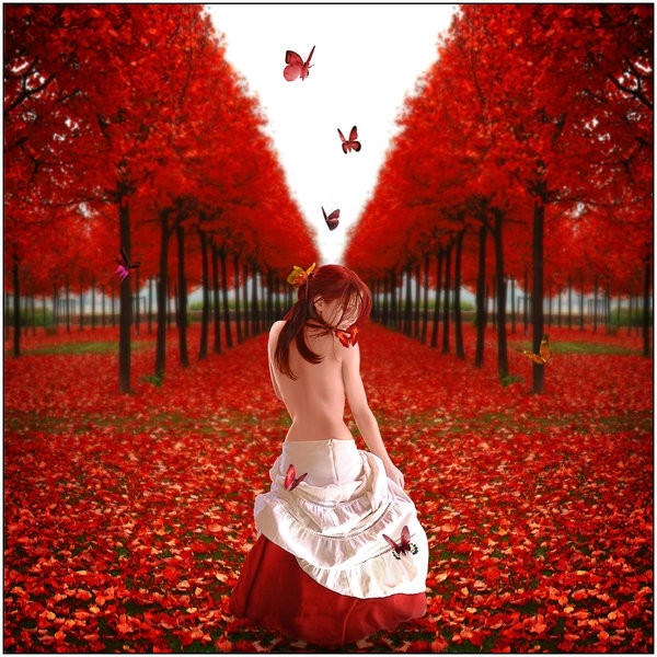 butterfly, photo art, red, tree, woman