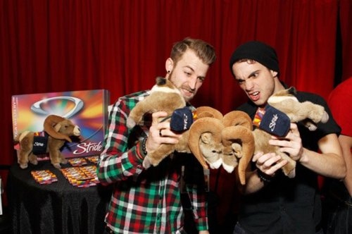 cute, jeremy davis and paramore