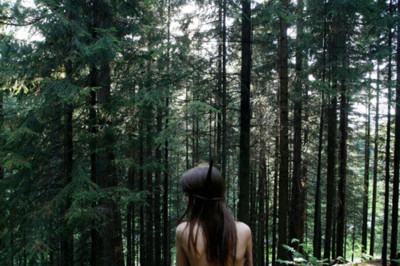 back,  brunette and  forest