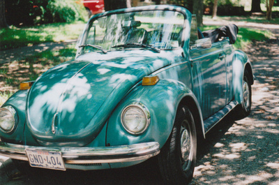 beetle,  blue and  car