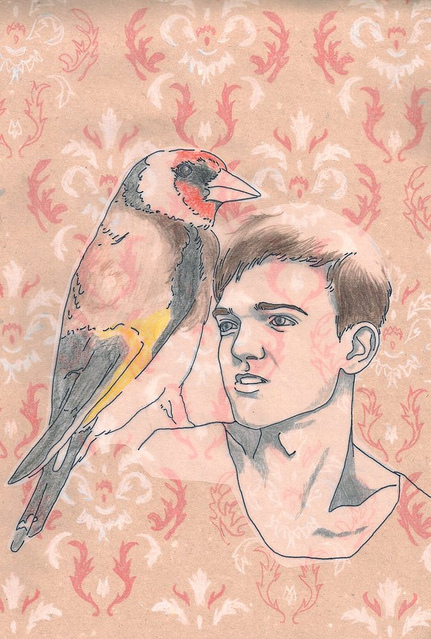 bird, illustration and line-art