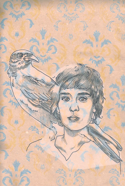 bird, illustration and line-art