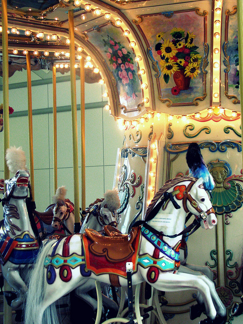 bright, carousel and flower