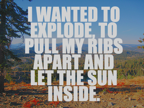 explode, photo, photography, ribs, sun, text