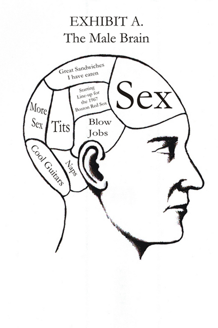 funny,  lol and  male brain