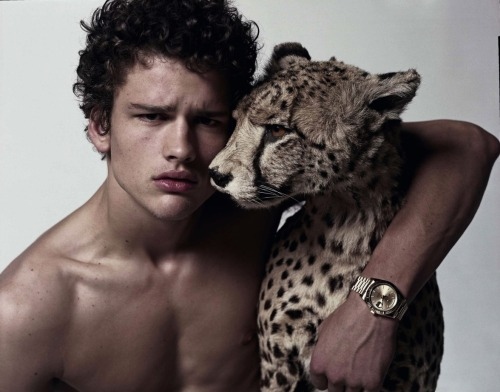 beautiful, boy and cheetah