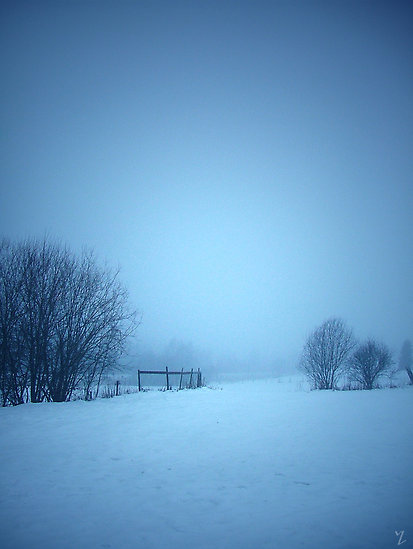 blue, cold and fog