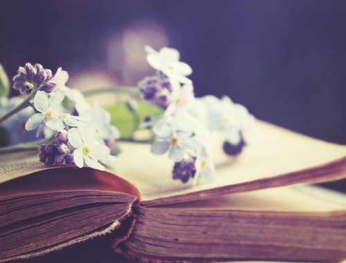 book, cute and flower