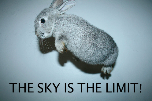 bunny, flying and limit