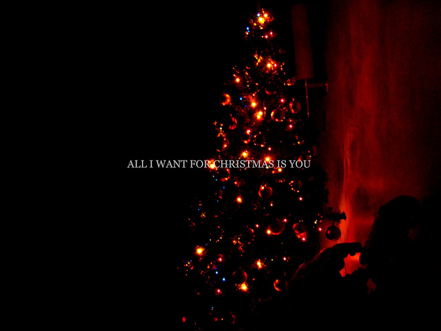 christmas, christmas tree and love
