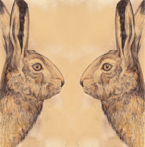 animals, art and bunnies