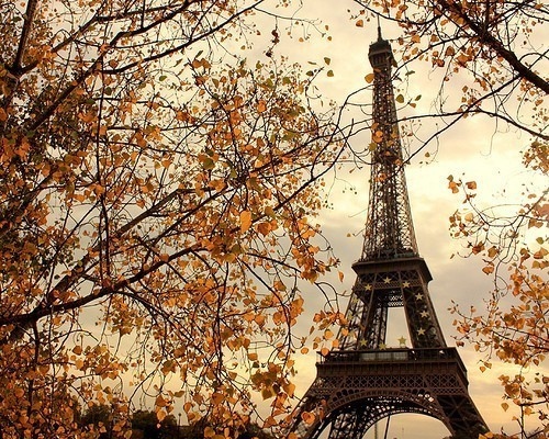 beautiful, eiffel tower and france