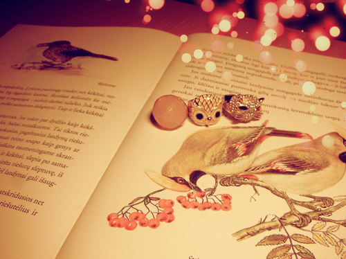 birds, book and cat