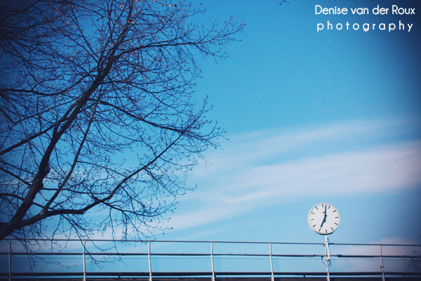 blue, branches, clock, clouds, cold, frozen