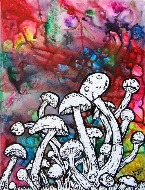 Facebook. art-drugs-lol-mushrooms-paint-shrooms-Favim.com-109788.jpg. 
