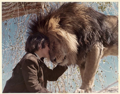 aslan,  friendship and  lion
