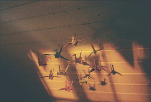 birds, origami and roof