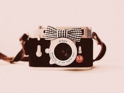 bow,  camera and  cute
